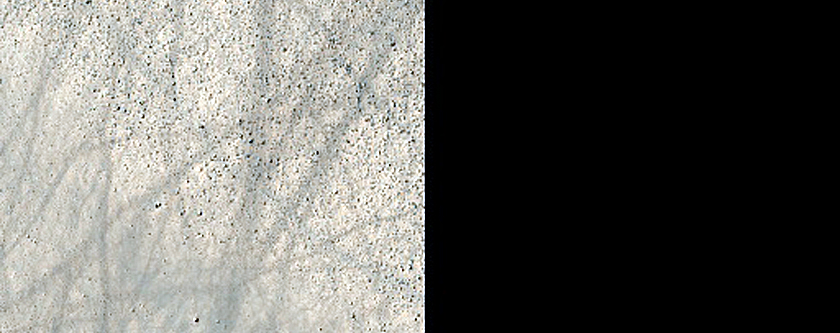 Terrain Sample