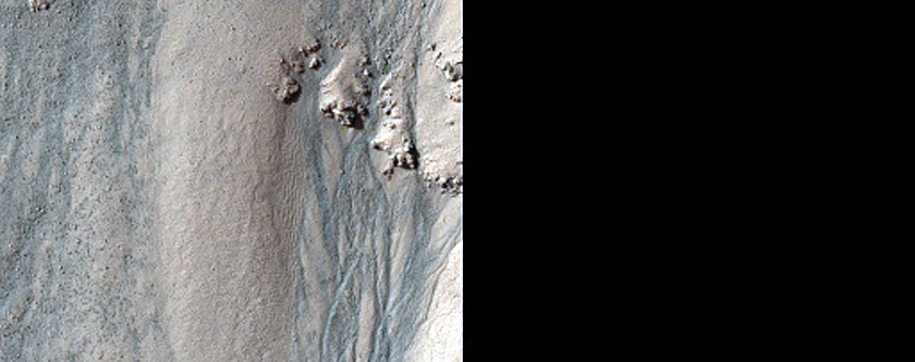 High-Latitude Gullies in Crater in Charitum Montes