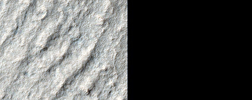 Terrain Sample