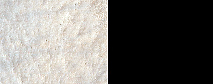Terrain Sample