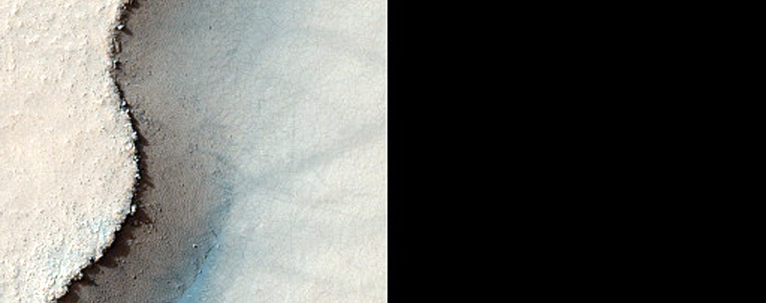 Terrain Contact 