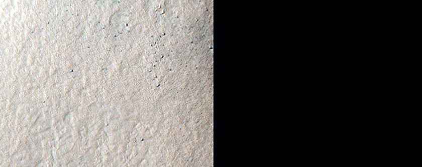 High-Latitude Gully