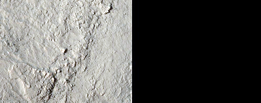 Gullies in Crater North of Kepler Crater
