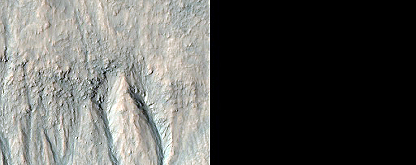 Gullied Crater Wall