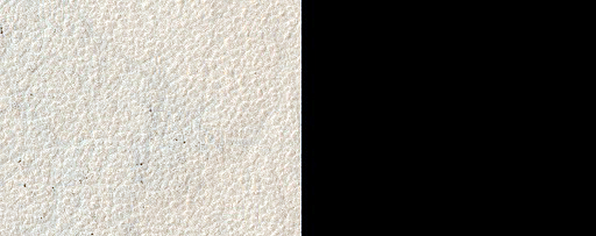 Dust Devil Track Monitoring