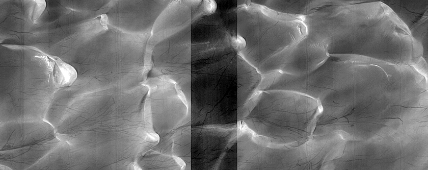 Dune Monitoring in Moreux Crater