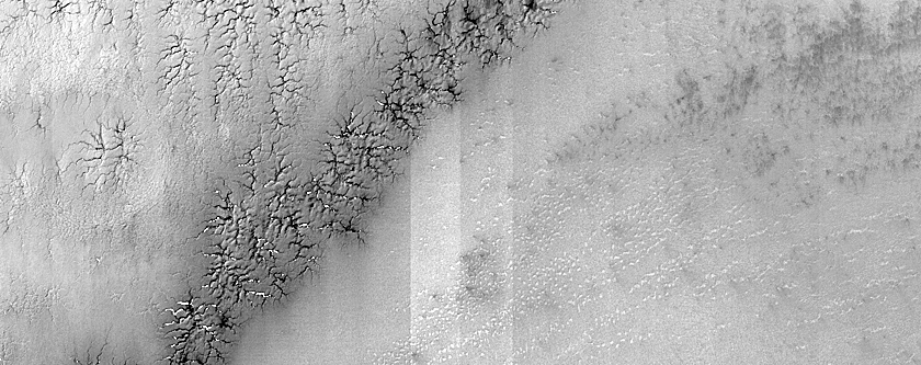 Large Spider Structures Southeast of Rayleigh Crater