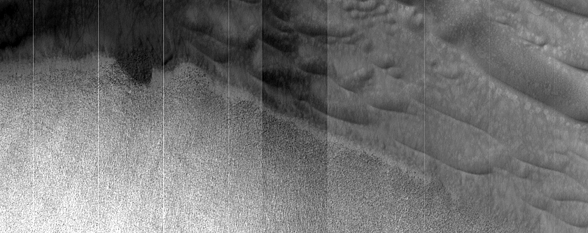 USGS Dune Database Entry Number 2103-590