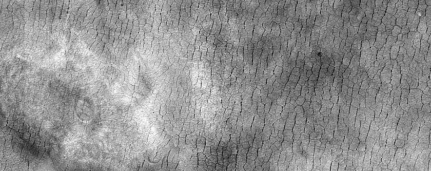 Utopia Planitia Polygons