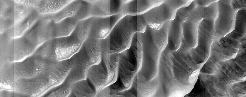 USGS Dune Database Entry Number 2157-524