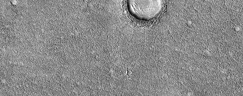 Monitoring Dust Devil Tracks