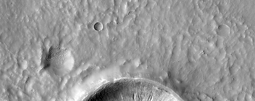 Light-Toned Gully Material in Crater in Noachis Terra