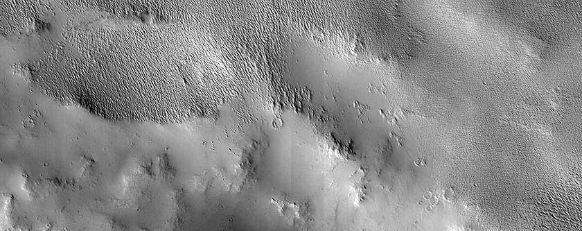 Daedalia Planum