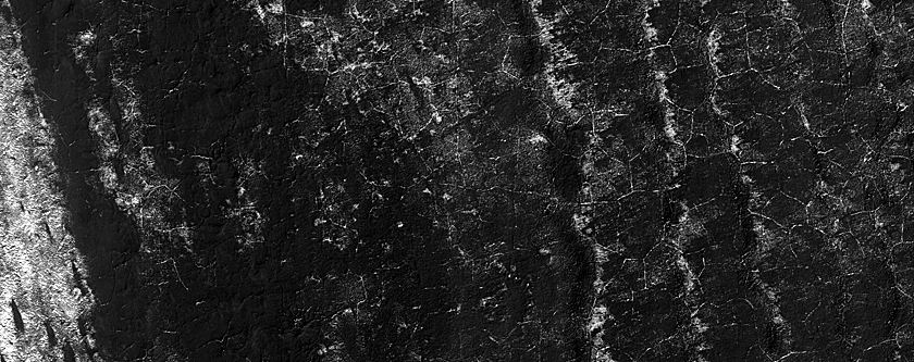 Terrain Sample