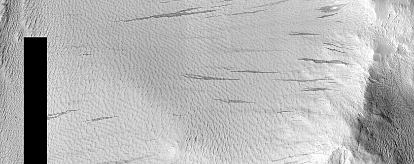 Slope Streak Monitoring in Nicholson Crater