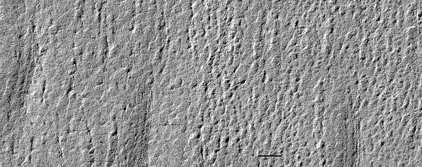 USGS Dune Database Entry Number 1820-731