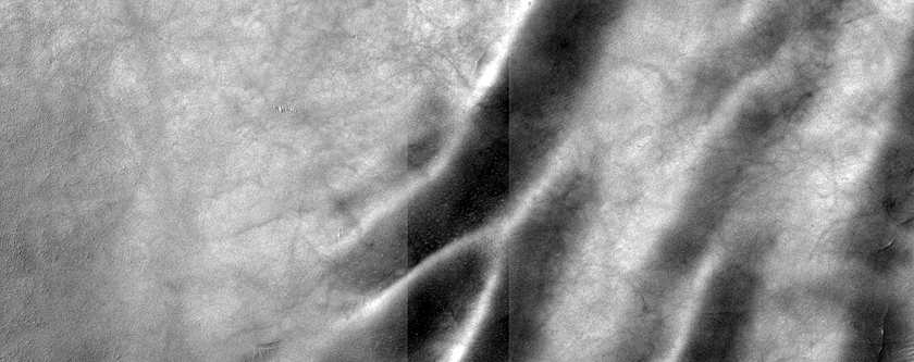 USGS Dune Database Entry Number 1219-601