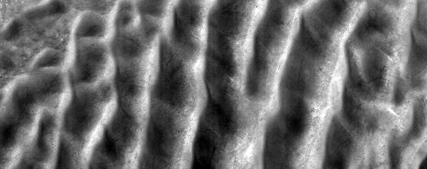 USGS Dune Database Entry Number 1561-640