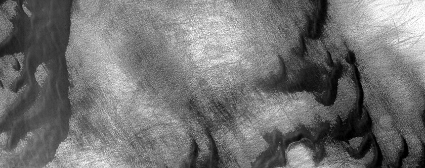 USGS Dune Database Entry Number 1299-667