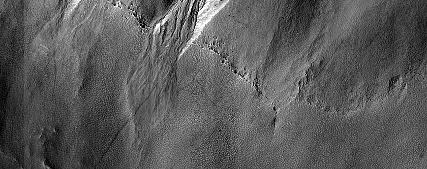 Gully Monitoring