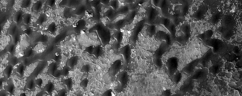 Dune Field in Baldet Crater