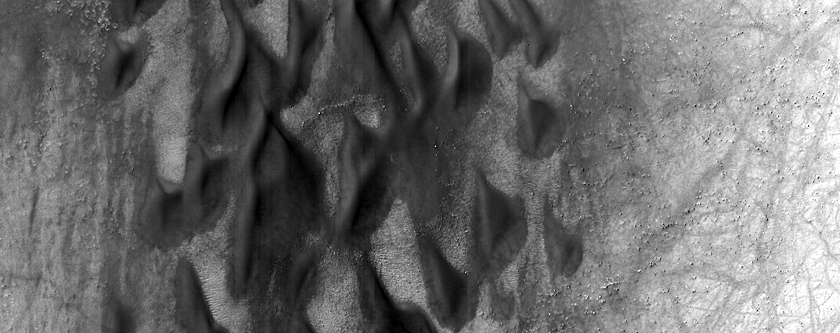 Monitoring Dust Devil Tracks