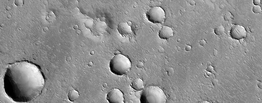 Utopia Planitia Terrain Sample