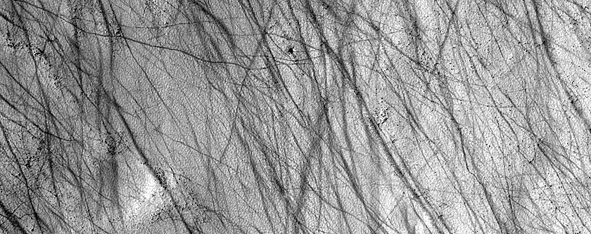 Dark Filamentary Streak Year-Round Monitor Site in Noachis Terra