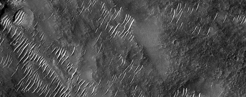 Protva Valles Terrain Sample