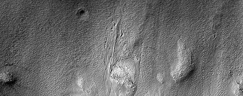 Gully Monitoring