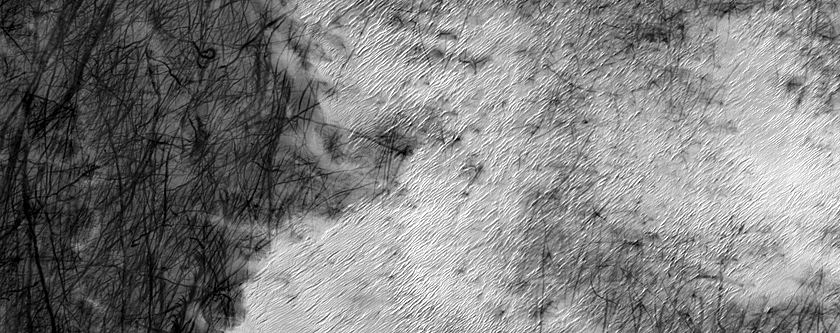 South Polar Region Cryptic Terrain Margin Monitoring in Reynolds Crater