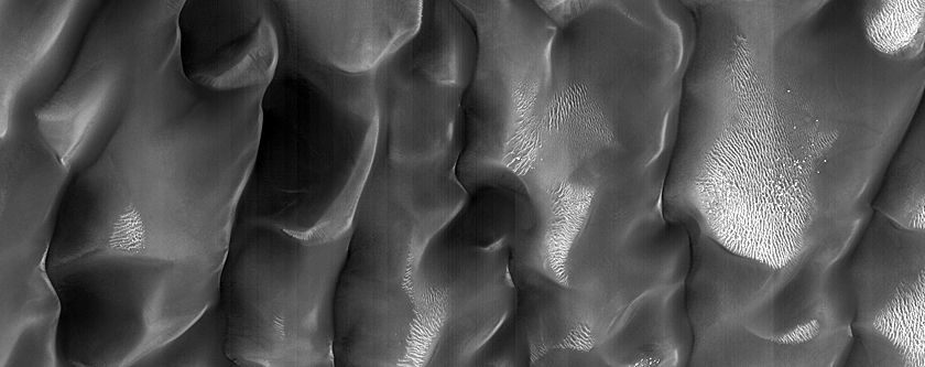Linear Gully Activity after Global Dust Storm in Procter Crater