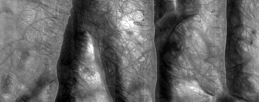 Defrosting Processes in Crater