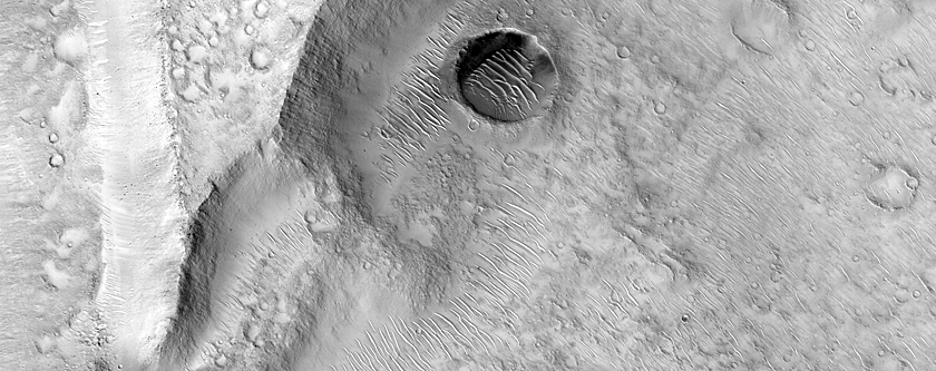 Landforms in Isidis Planitia