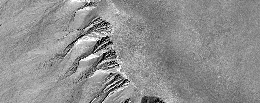 Gully Monitoring