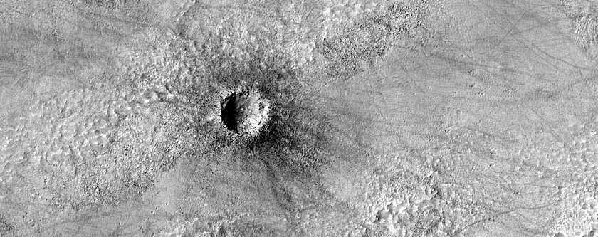 Monitoring Dust Devil Tracks