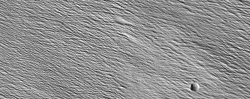 Thermally Distinct Unit on Topography facing Nicholson Crater