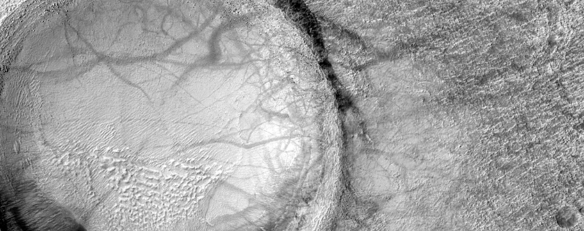 Gullied Crater Wall