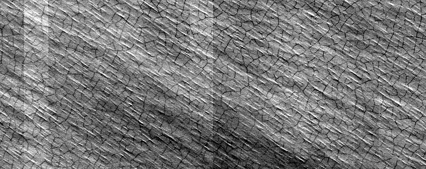 South Polar Perennial Ice Outlier Monitoring