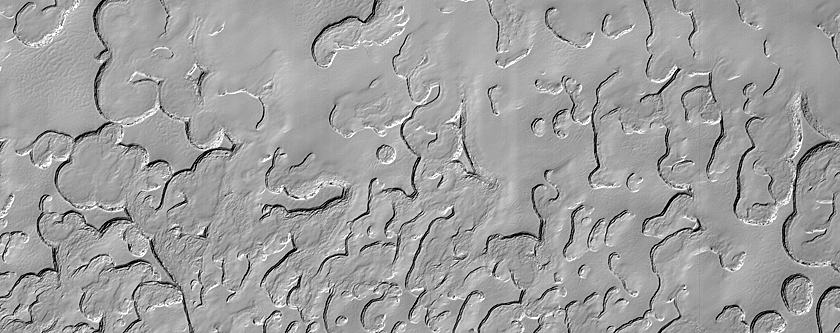 South Polar Residual Cap Site