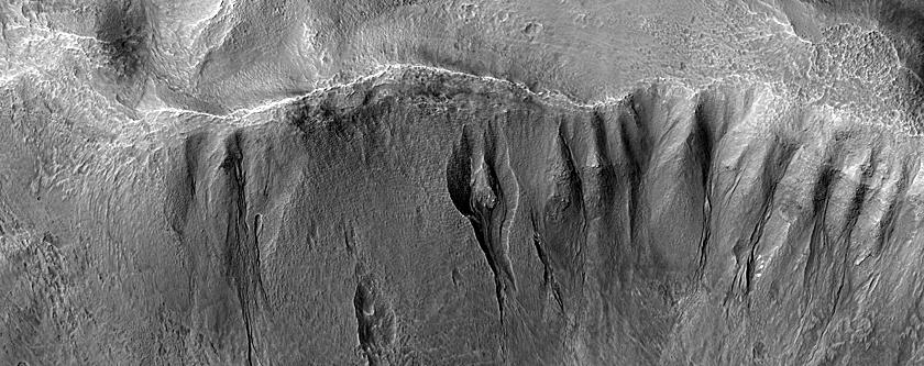 Gully Monitoring