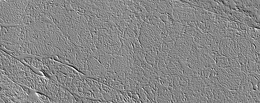 Flows in Tharsis Region