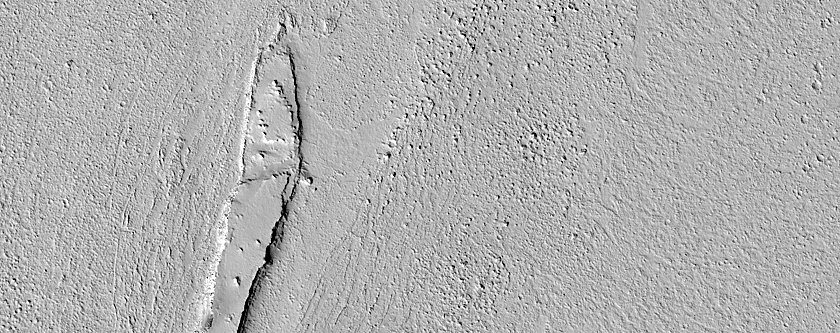 Marte Vallis Terrain Sample