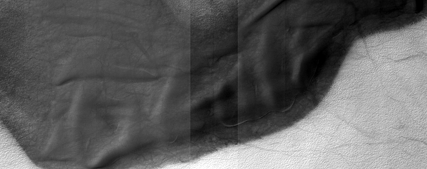 USGS Dune Database Entry Number 1219-688