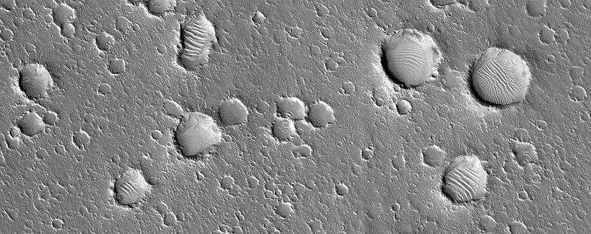Utopia Planitia Terrain Sample