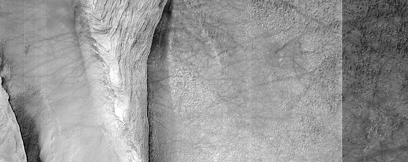 Exposed Rock