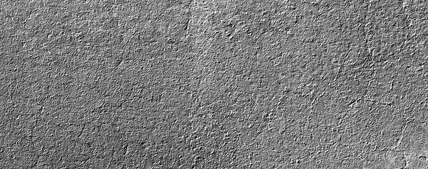 Promethei Lingula Surface Roughness