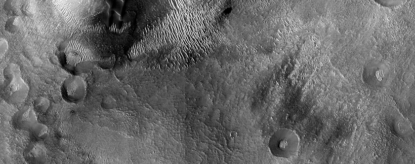Dune Monitoring