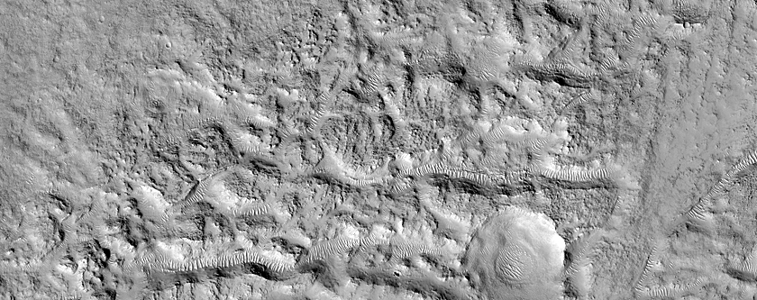 Contrasting Textures in Utopia Planitia