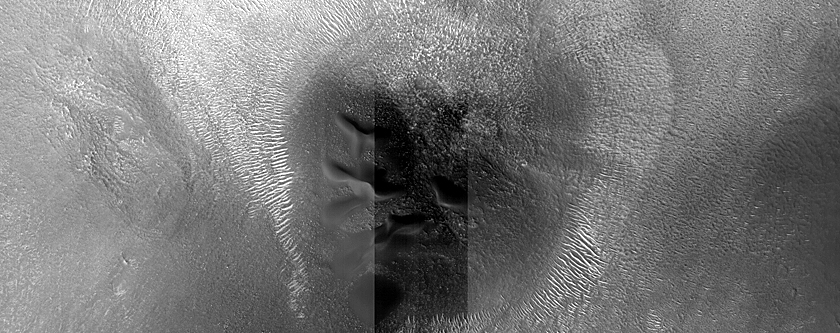 Dune Monitoring